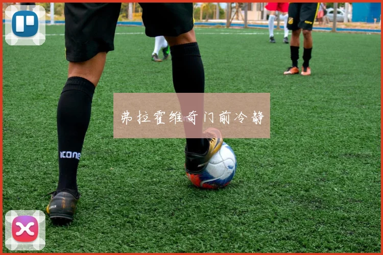 弗拉霍维奇门前冷静