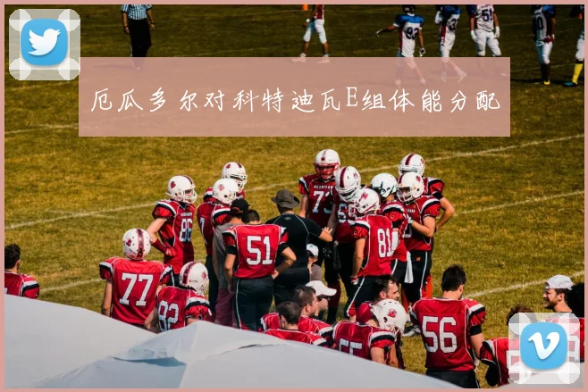 厄瓜多尔对科特迪瓦E组体能分配