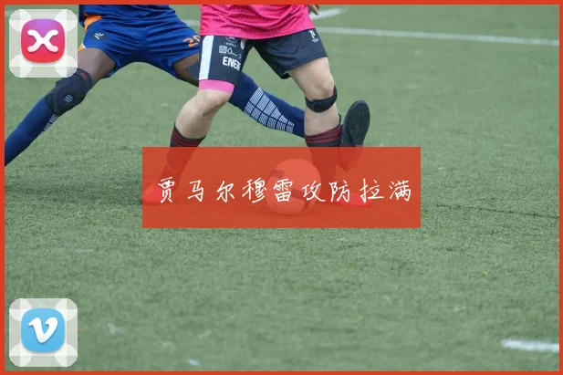 贾马尔穆雷攻防拉满