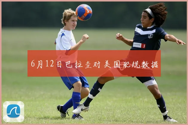 6月12日巴拉圭对美国犯规数据