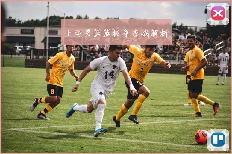 上海男篮篮板争夺战解析