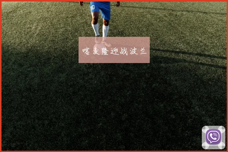 喀麦隆迎战波兰